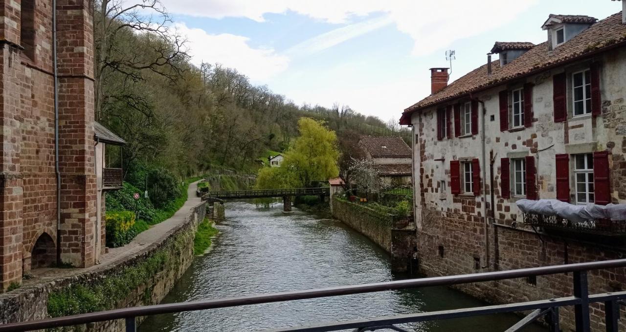 Saint Jean Pied De Port. Centre Ville. Rue Pietonne エクステリア 写真